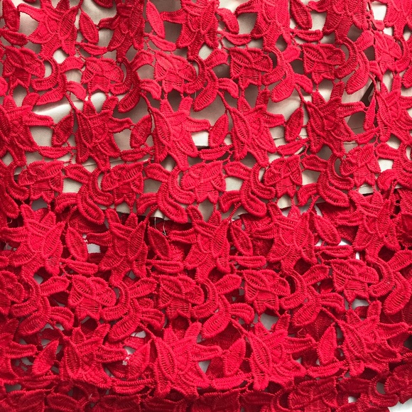 Plus Size Dress - Picture 5 of 6